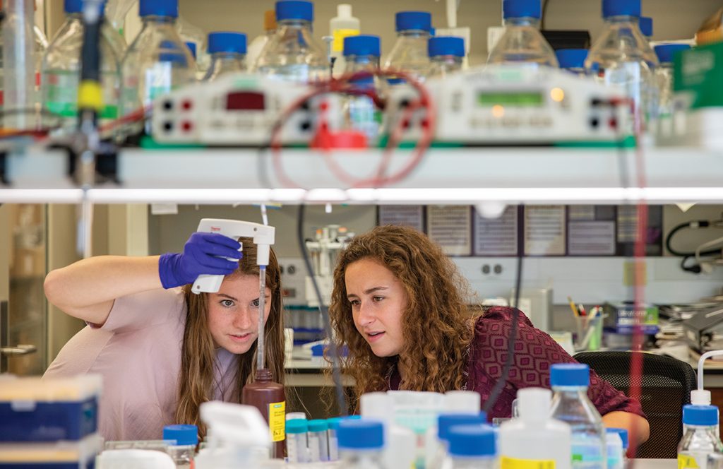 Undergraduate students working in the lab