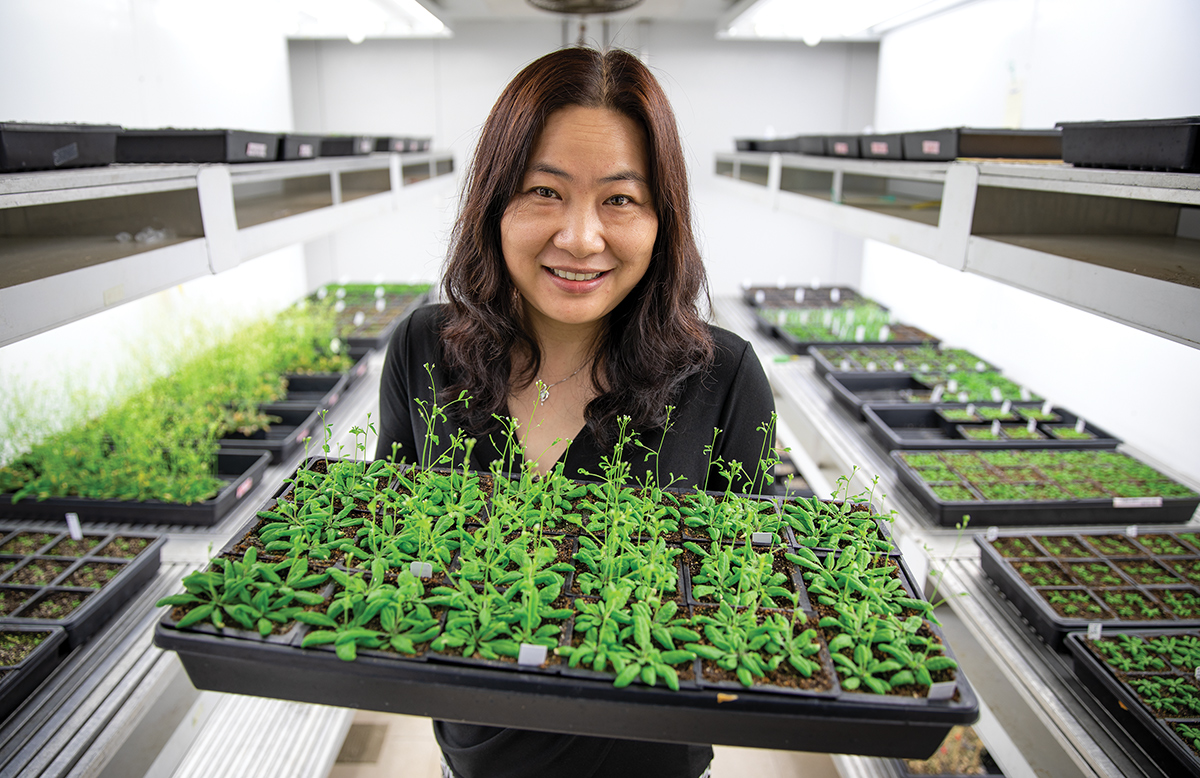 Deep in the weeds Biotechnology Training Program UWMadison