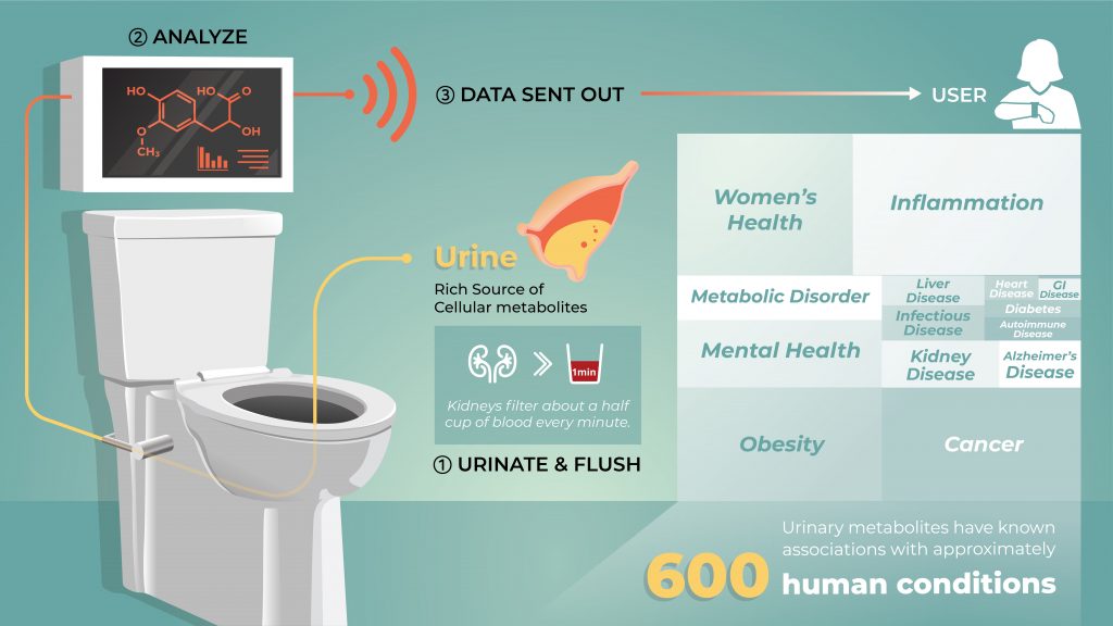 This graphic illustrates how an integrated “smart toilet” system might work